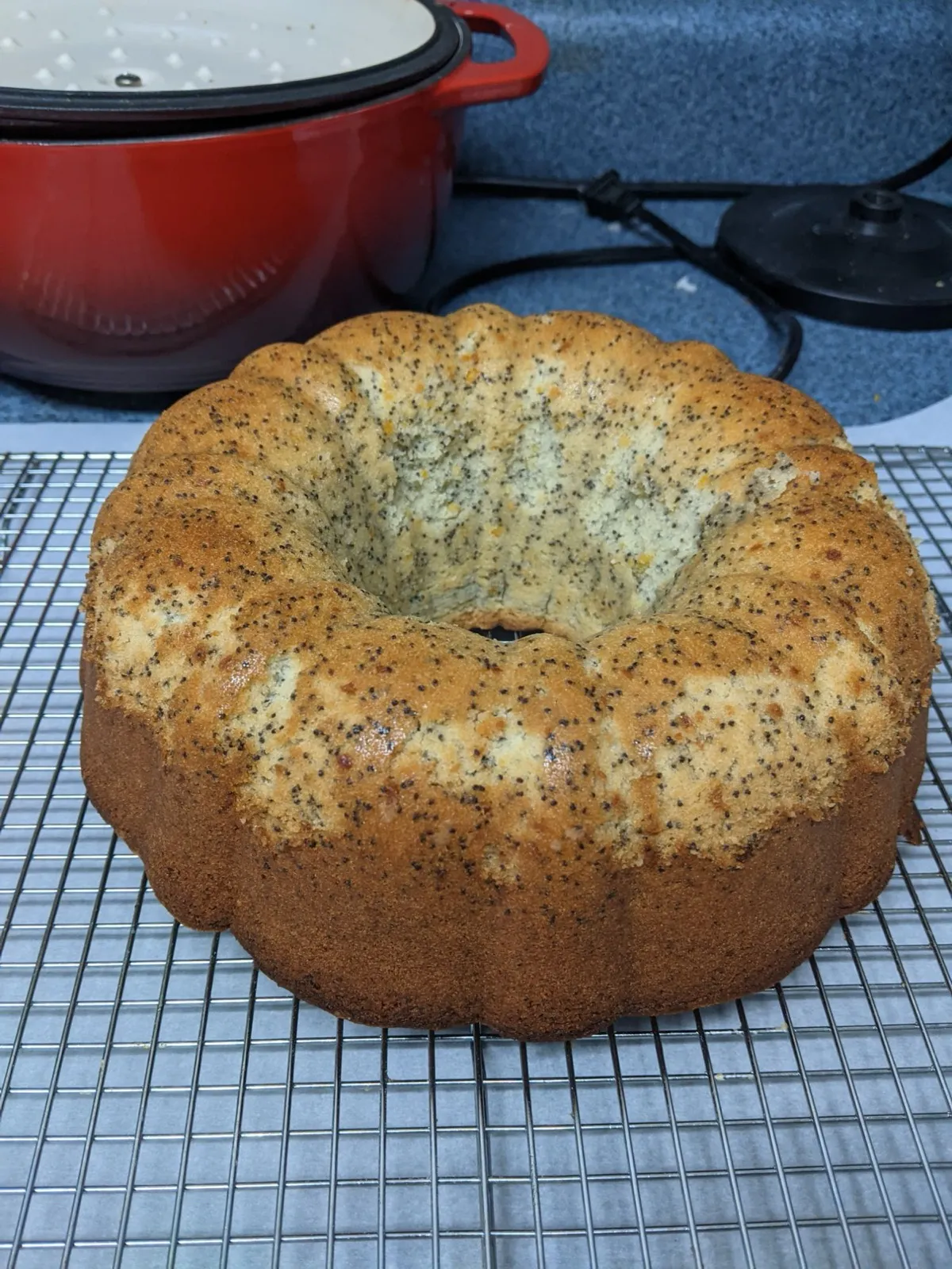 The same bundt cake before glazing, golden and speckled with poppy seeds